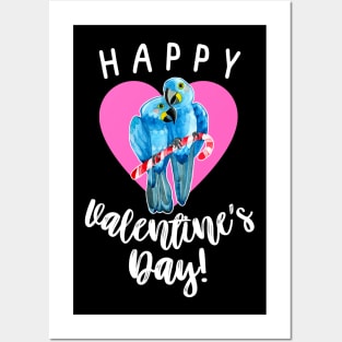 Happy Valentine's Day Hyacinth Macaw Parrot Couple Posters and Art